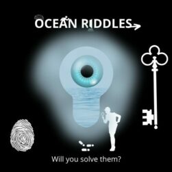 Ocean Riddles